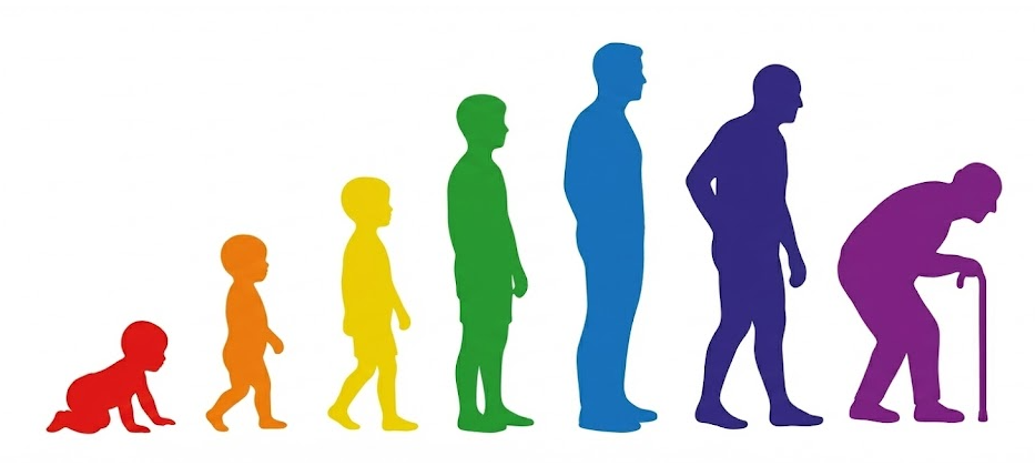 ARCSAPP - Evolución y Salud